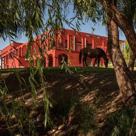 Zorzal Wines - Cellar