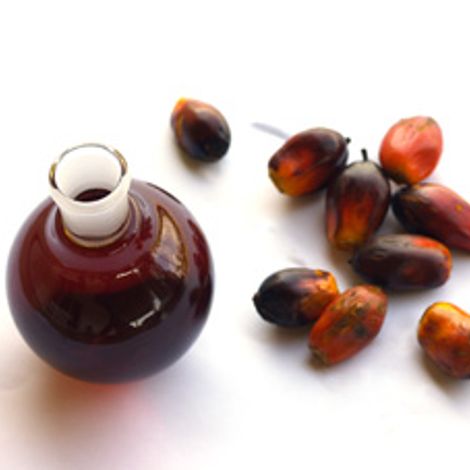 palmkernel oilnfat.jpg