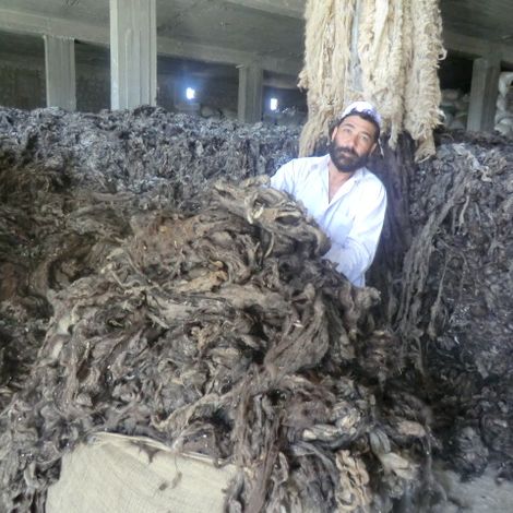 Habib Omid Trading Co LTD