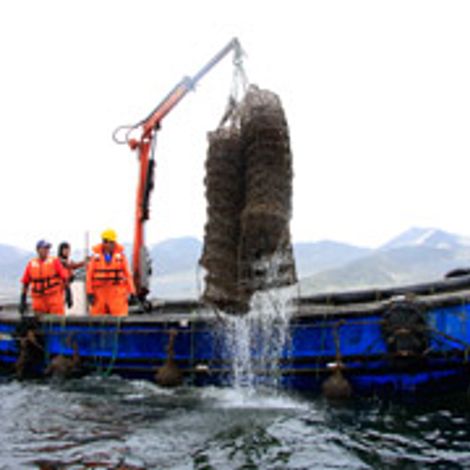 Acuacultura Y Pesca S.A.C - Vessel