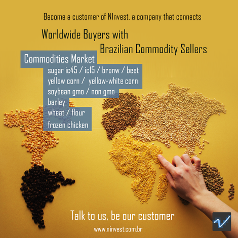 Brazilian Commodities