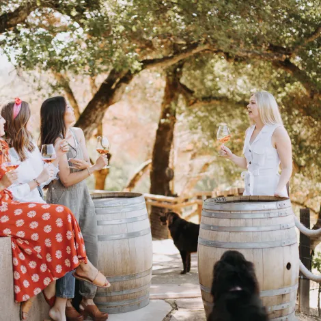 Wine tasting