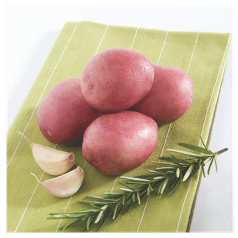 TS-red-potatoes-sq.png