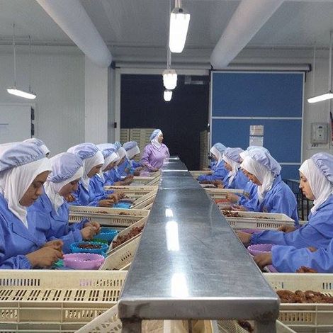 AZAIEZ DATTES - Processing Facility