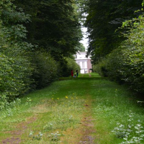 Château La Verrière vineyard 1.jpg