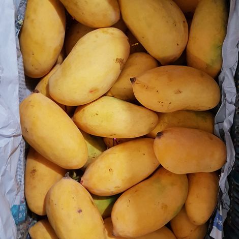 Imtiaz Enterprises - Product