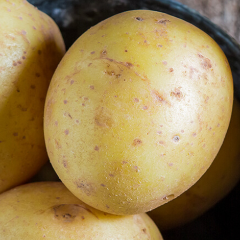 Paris Foods Corporation