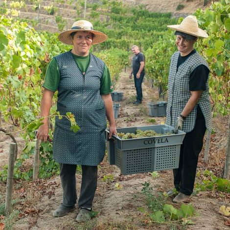 Quinta de Covela - People