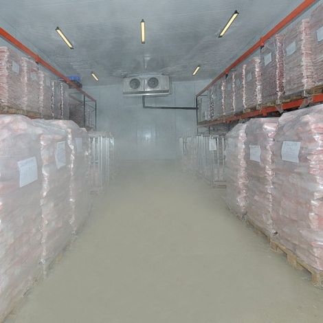 Maporal - Alentejana Breed Pig Slaughterhouse - Cold Storage