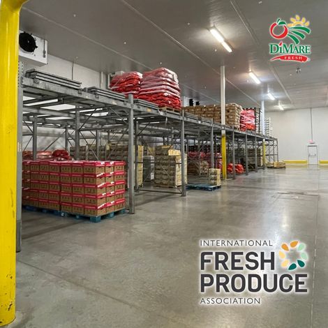 DiMare Indio - Storage