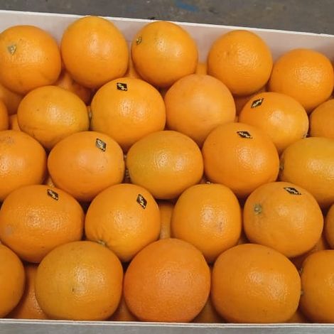 oranges