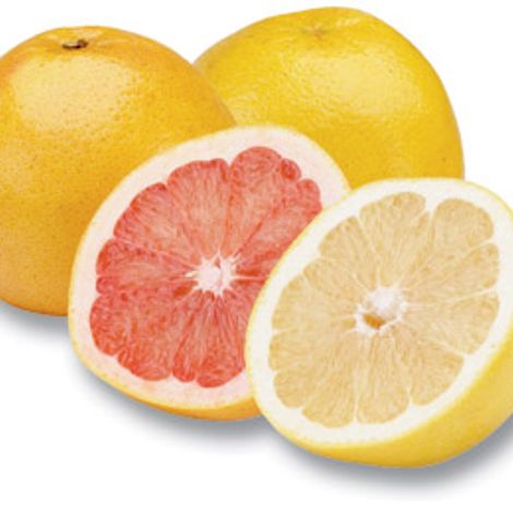 Ergün Halcilik Ambalaj İthalat İhracat Sanayi Ticaret Ltd. Şti.