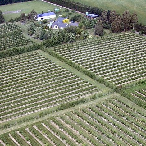Farm