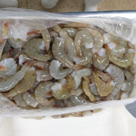 El Oro Shrimp Inc - Products