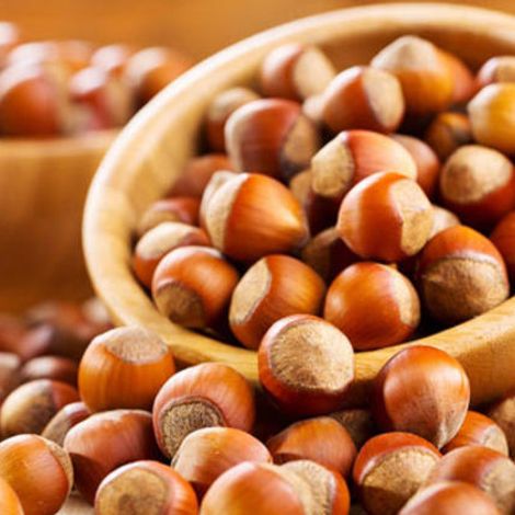 Bozbağ Hazelnut