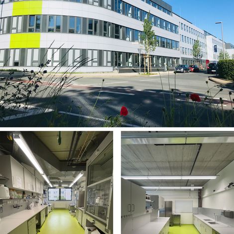 Research Complex