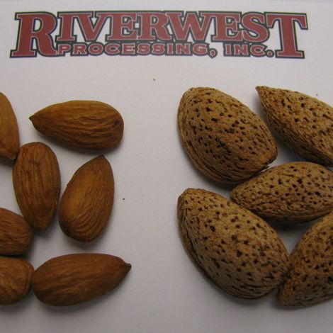Riverwest Processing Inc