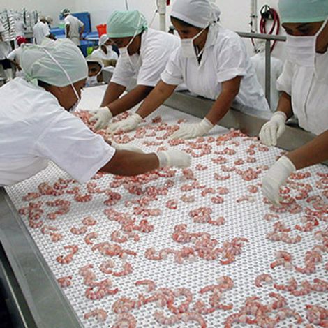 Production