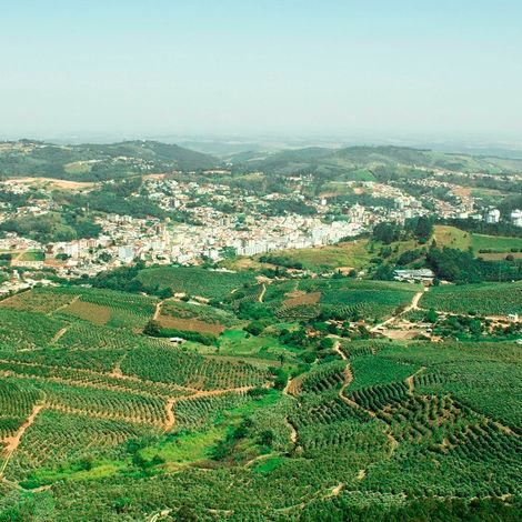 Elba Brazilian Coffee