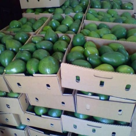Fresh From Uganda Ltd - Products