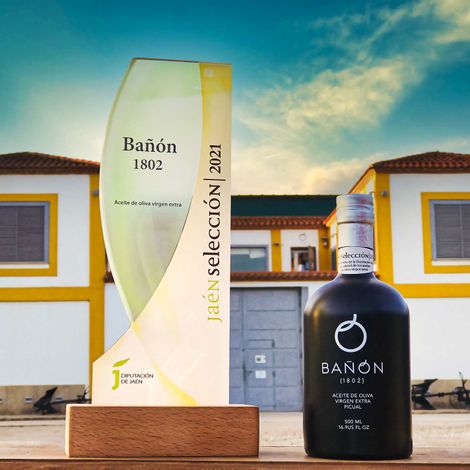 Cutting-Edge Technology Oil mill at Ubeda - Jaén