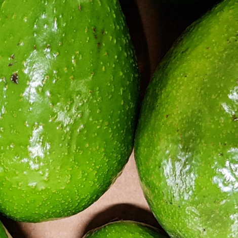 GEKO Fruchthandels GmbH