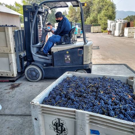 Schramsberg Vineyards_Wines_Grapes