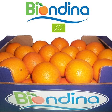 fresh organic orange