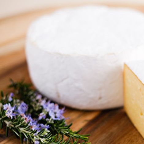 cheese.jpg