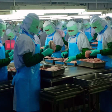 Kaona Pourtry Co., Ltd. - Facility