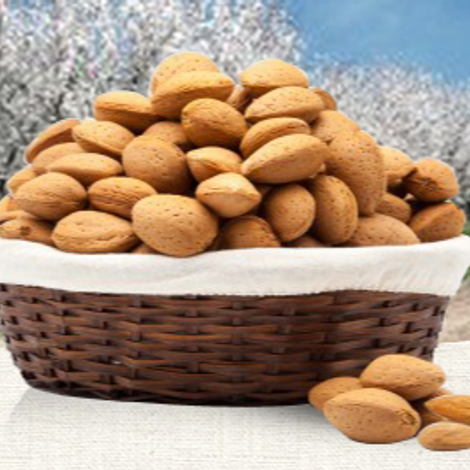 Waterford Nut Company - Products