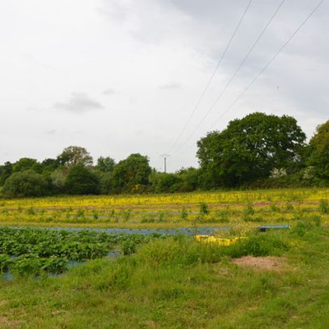 LA FERME DU PIN
