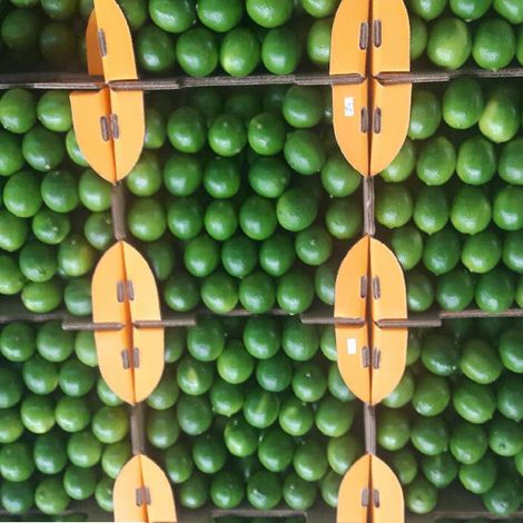 gallery-limon-caja.jpg
