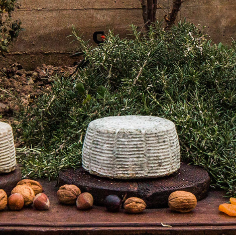 Lácteos Martínez - Queso Los Cameros