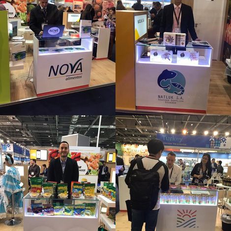 Expo Germany