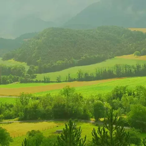 Eregli Agrosan