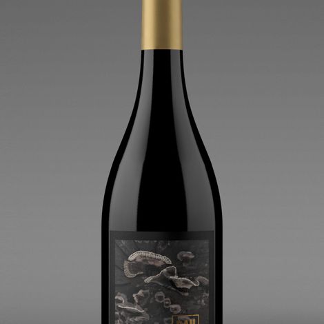 Finca Paucho_Cabernet Franc Singular_Red Wine