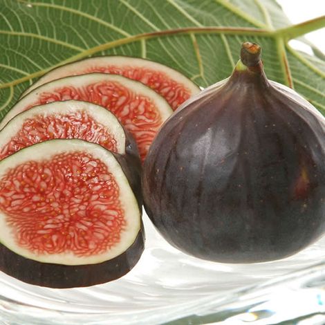 Alara Tarim Urunleri Sanayi Ve Ticaret A S