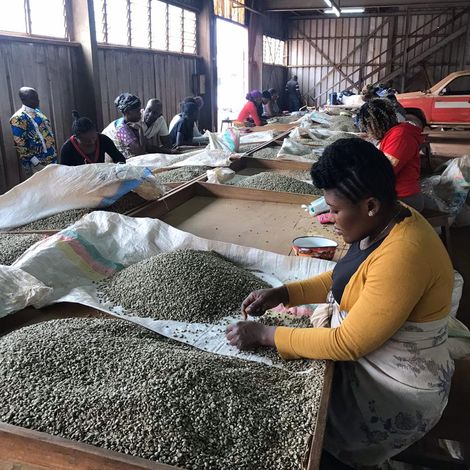 Aseans Cameroon Limited - Production