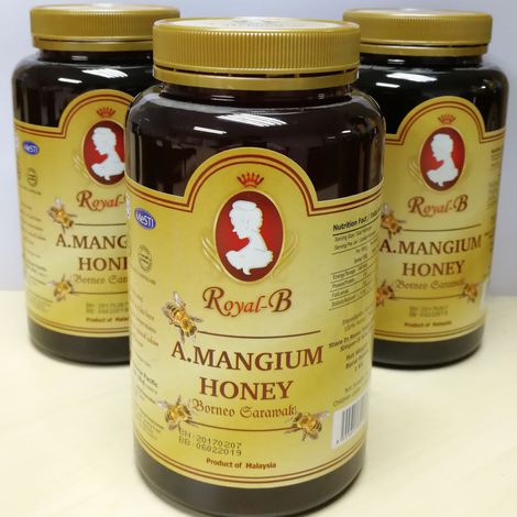 ROYAL-B ACACIA MANGIUM HONEY 1KG