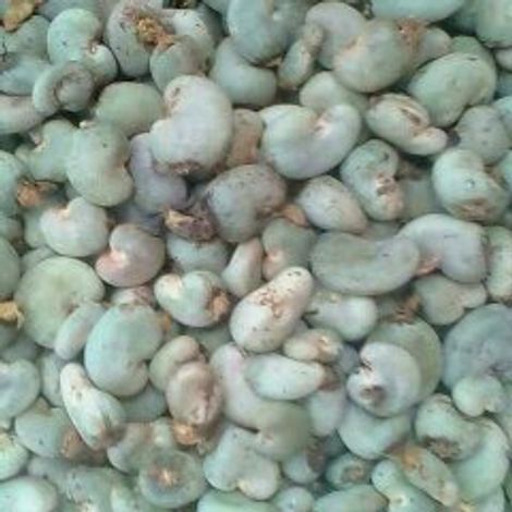 Raw Cashew Nuts