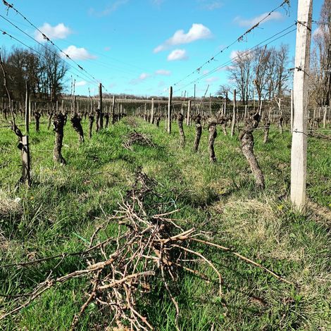 Château Vieux Mougnac