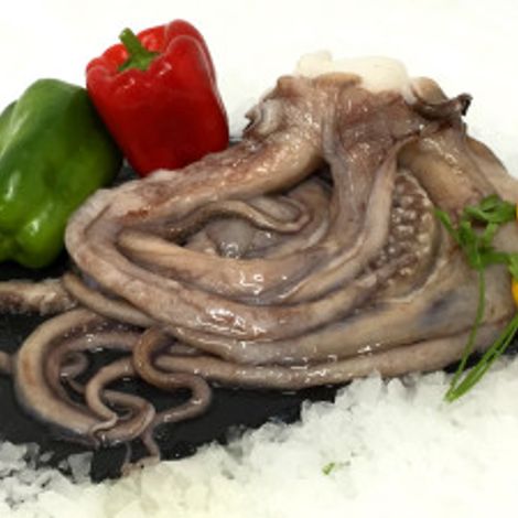 Oceanic Sea Food SL