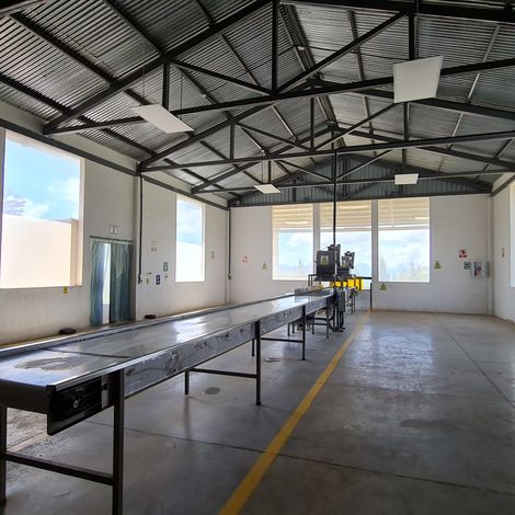 Durantas_Pineapple_Packaging Facility