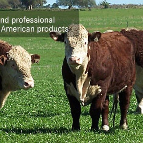 Phixon Trade Company - Livestock