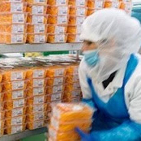 Frujuca S.A. - Packaging Area