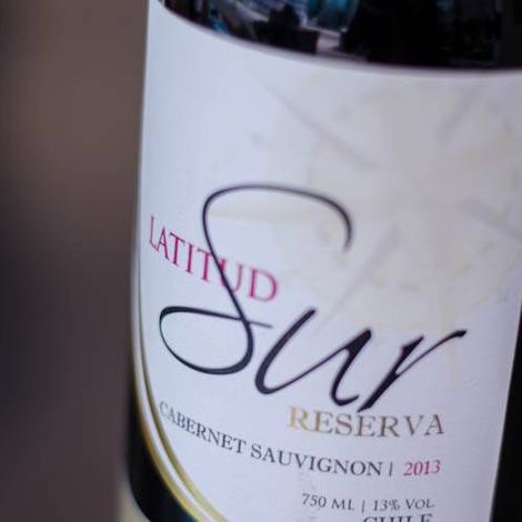 Espaldares del Maipo