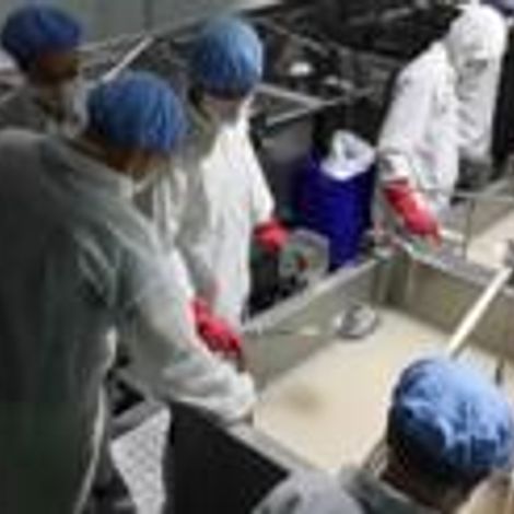 PT. Java Seafood - Production Area