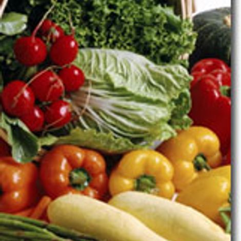 vegitable.jpg