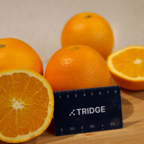 Tridge_AU_Fresh Orange